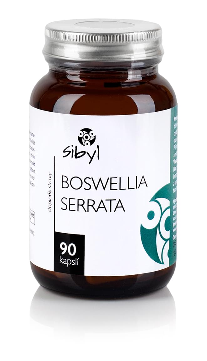 Boswellia serrta